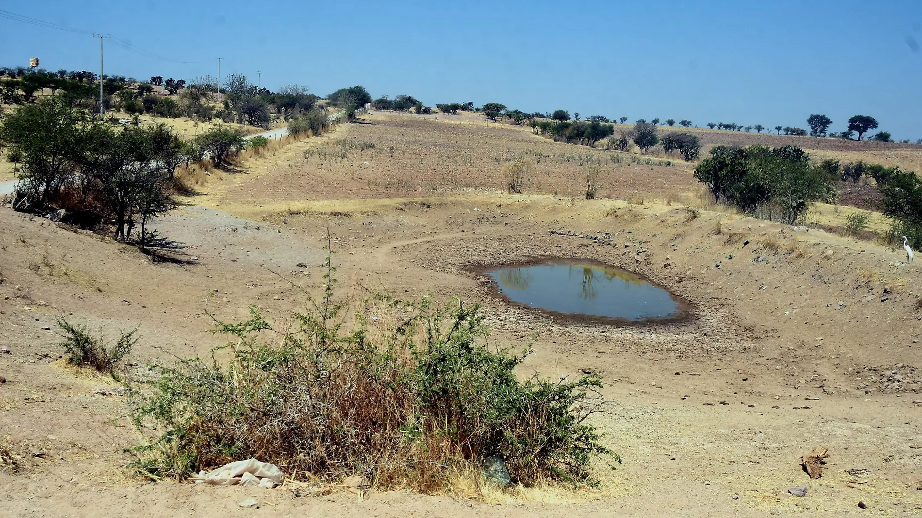 SEQUIA DE PARCELAS (1)